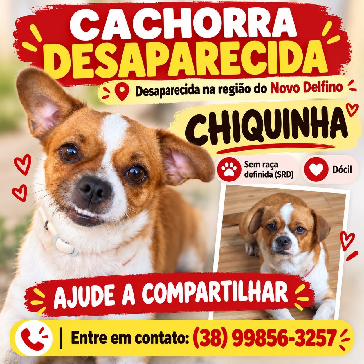 Foto de Perdido: Chiquinha