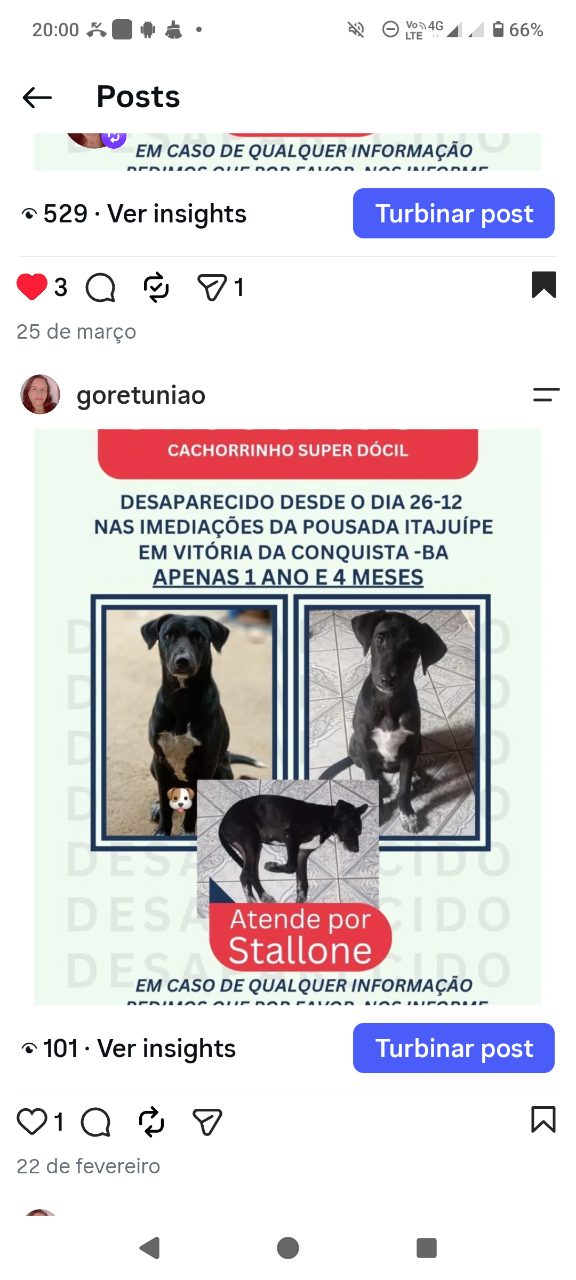 Foto de Perdido: Stallone