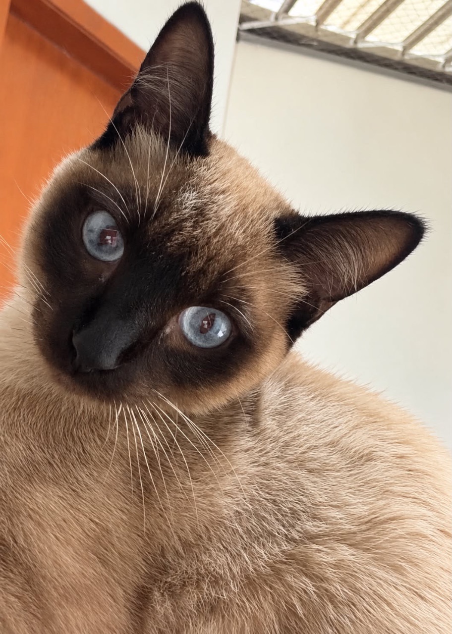 Foto de Perdido: Tue